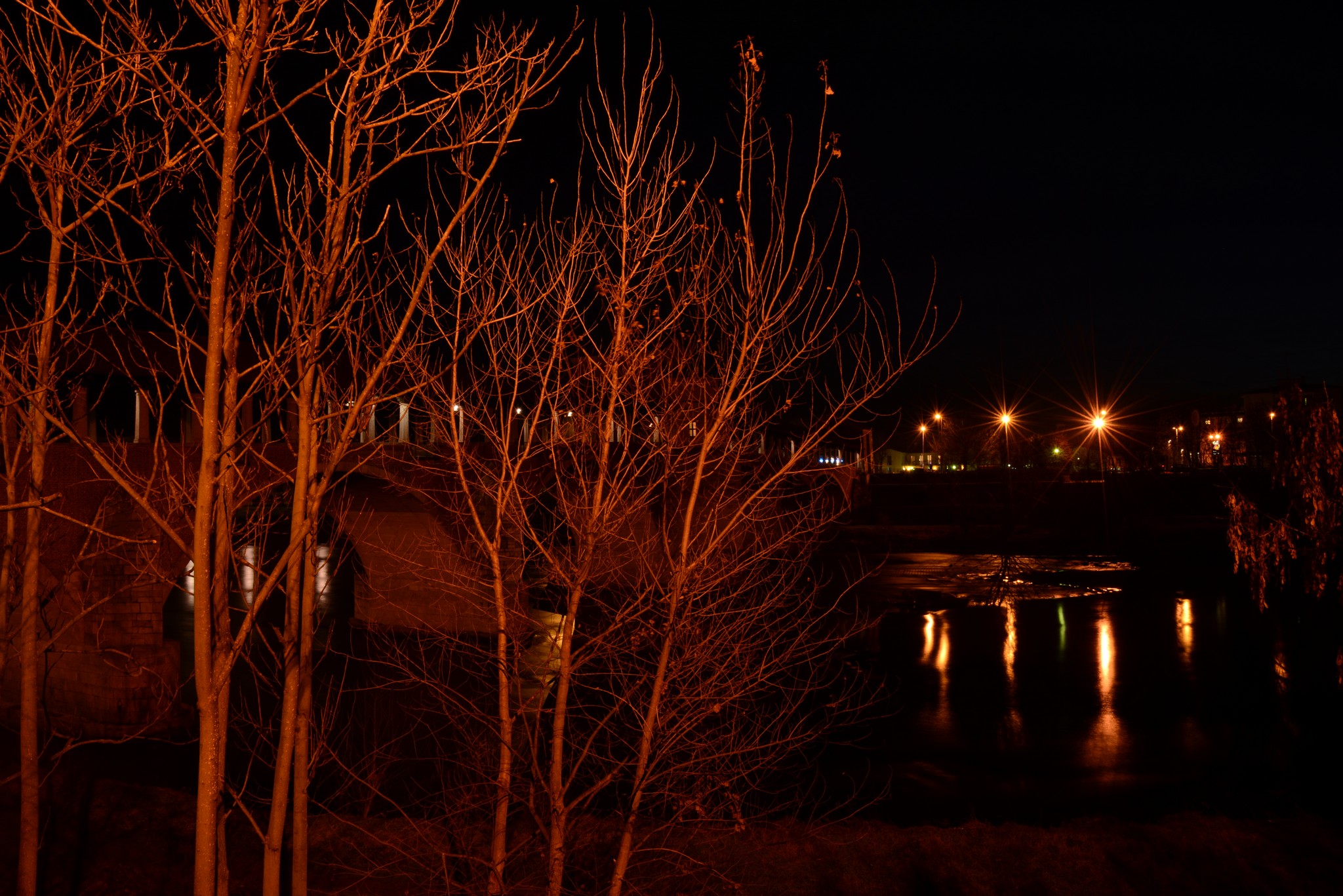 Foto notturna a pavia accanto al Ponte Vecchio