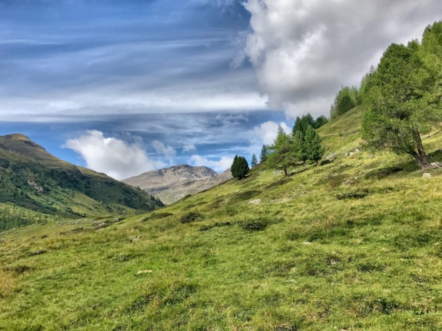In questa foto un stupendo panorama di montagne dell'Alta Valtellina