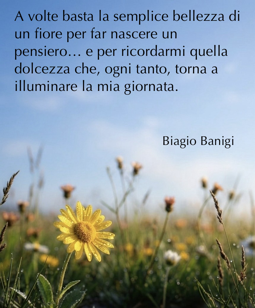 Aforismi_17