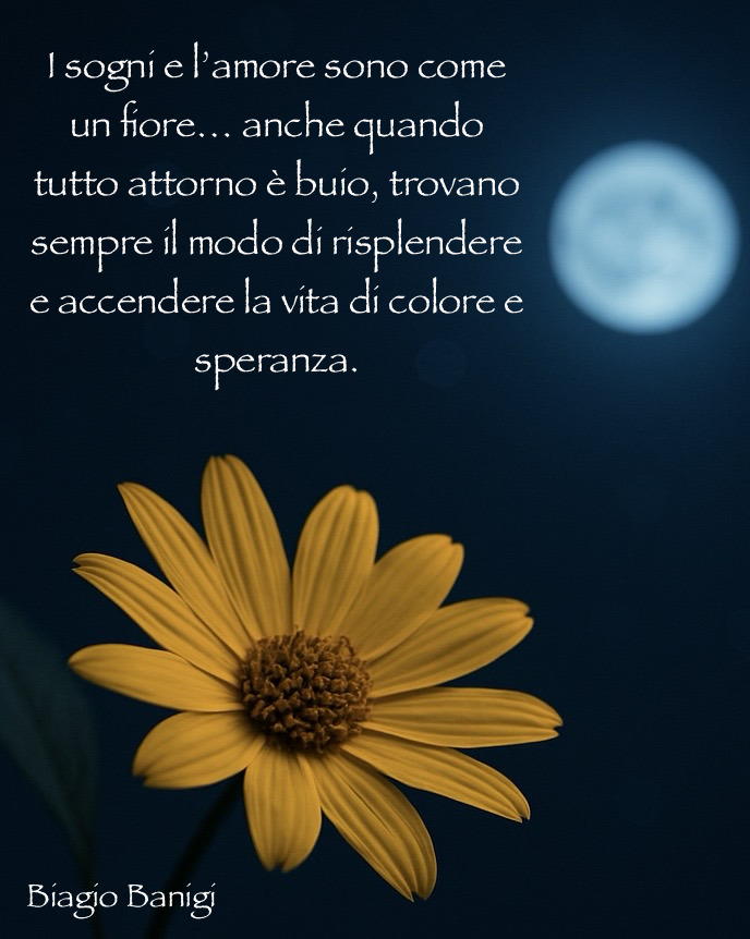 Aforismi_4