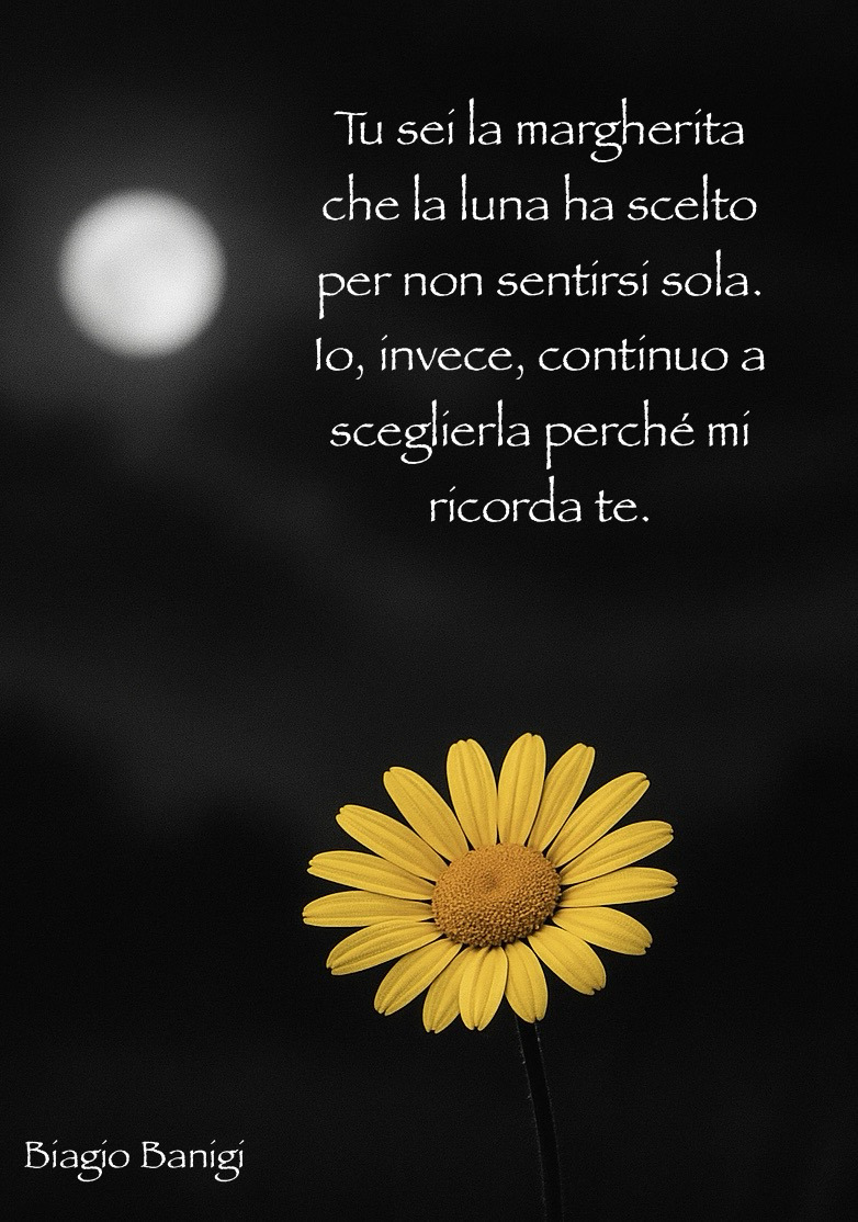 Aforismi_6